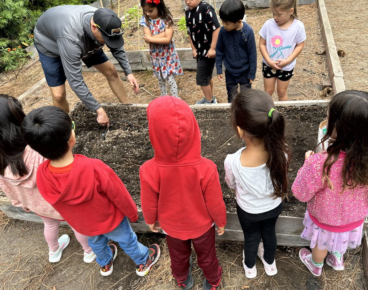 Curtis Chin tweet media