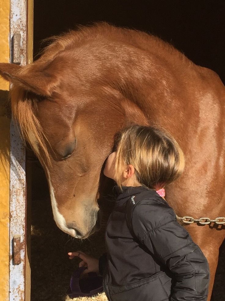 بحر 🌊 (@butterflless) on Twitter photo 