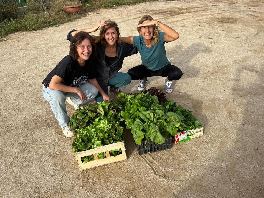 centrecanpedro's tweet photo. Tenim l'hort de #Canpedró a vessar! 

Verdures de proximitat, ecològiques i boníssimes que gaudeixen els nostres usuaris. https://t.co/V63PXIvbZX