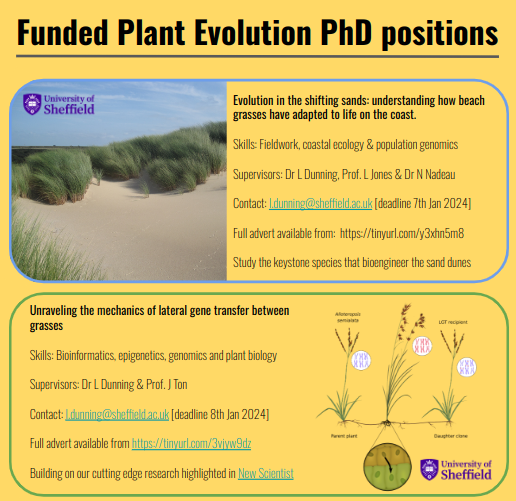 Come join us for a PhD! 2 exciting projects: [1] Understanding how grasses have adapted for a life at the beach tinyurl.com/3vjyw9dz [2] The mechanics of lateral gene transfer in grasses tinyurl.com/y3xhn5m8 Contact me for more information! #PhD #evolution #plants