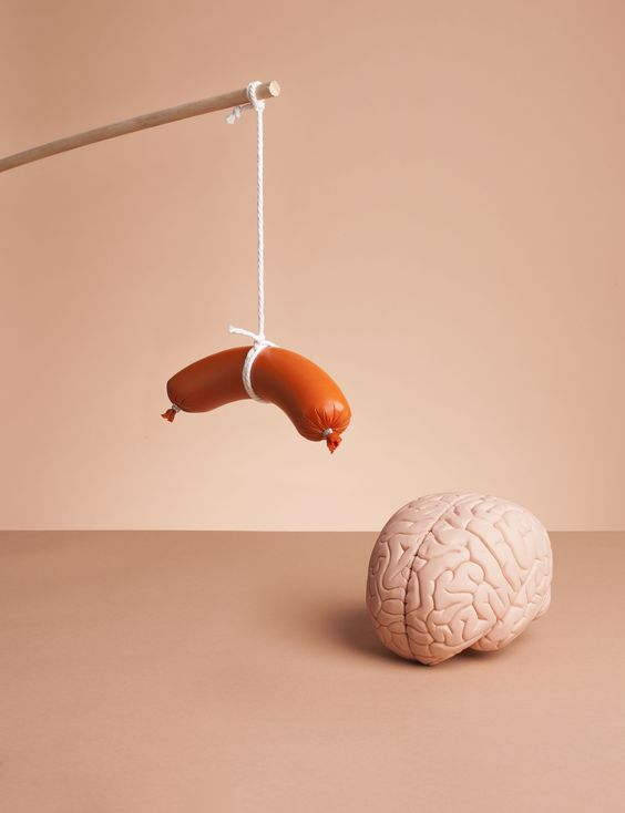 danmurrays's tweet photo. Modern Food Slows Your Mind.

Here are 5 categories of them to avoid: https://t.co/fHO1VFOVvR