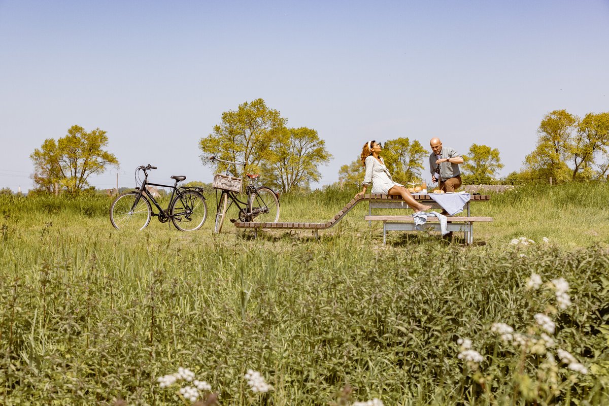 📣 Meewerken aan planning en organisatie van recreatieve infrastructuur, picknickplaatsen, speelnatuur, uitkijkpunten ... in #Westvlaanderen lijkt je geweldig? Dan word jij misschien wel onze nieuwe collega 👉
#Solliciteren tot 14/11!
westtoer.jobtoolz.com/nl/coordinator…