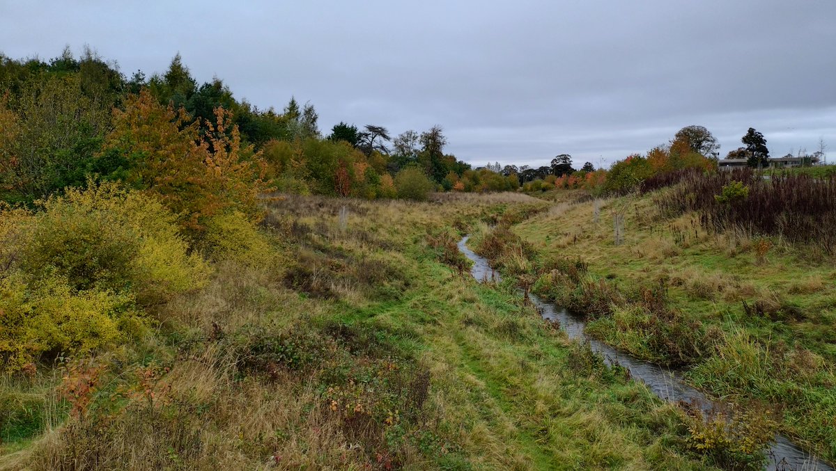 NatureScot's tweet image. 150 projects have received £30 million from the Scottish Government's #NatureRestorationFund since 2021. NatureScot Chair Colin Galbraith joined Biodiversity Minister @lornaslater at the Pentlands to Portobello greening project today to mark the milestone. nature.scot/saving-scotlan…