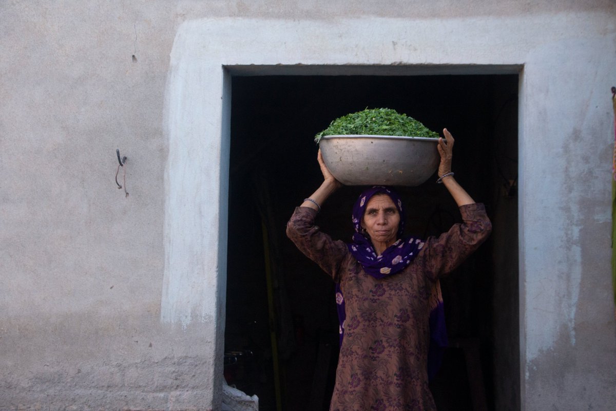 Donations can help us produce a documentary in Northern India about three pretty amazing women fighting poverty and injustice in their villages. Please consider giving. Anything helps. -Scott Join me and make a gift to Textura #Textura givecampus.com/ste751