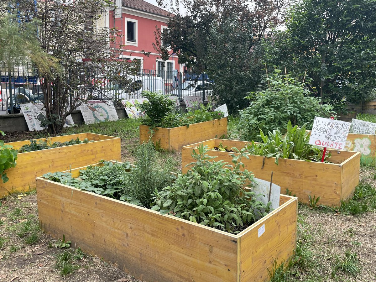 <a href="/ConexusNBS/">CONEXUS</a> highlights how school gardens 🧑‍🌾can foster #biodiversity🕸️🦋🪱🪴 &amp; provide hands on learning. Students here regularly record their observations of change 📈 in the garden &amp; use specific plant properties to test pH. What’s more? Students started eating more veggies 🥕