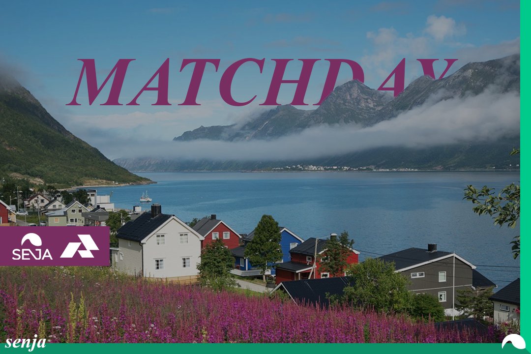 Senja Esports tweet media