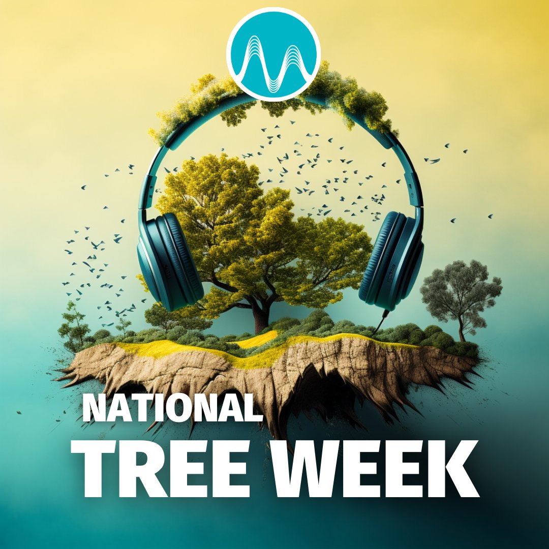 musicrcreative's tweet photo. 🌲 Celebrating National Tree Week! 🌲

This #NationalTreeWeek, grow your projects and a greener future with us! 🍃 At MRC, every order plants a seed of change — literally! #TreeWeek2023 #TreeWeek #TreeNation https://t.co/TVPmBG2LHm