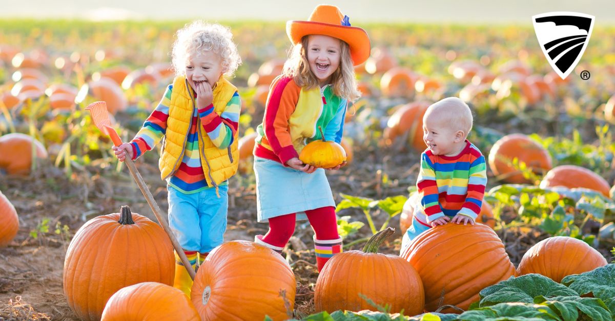 Protect the pumpkins in your patch with life insurance. 

This National Pumpkin Day, carve out some time to create a financial plan for you and your loved ones.
