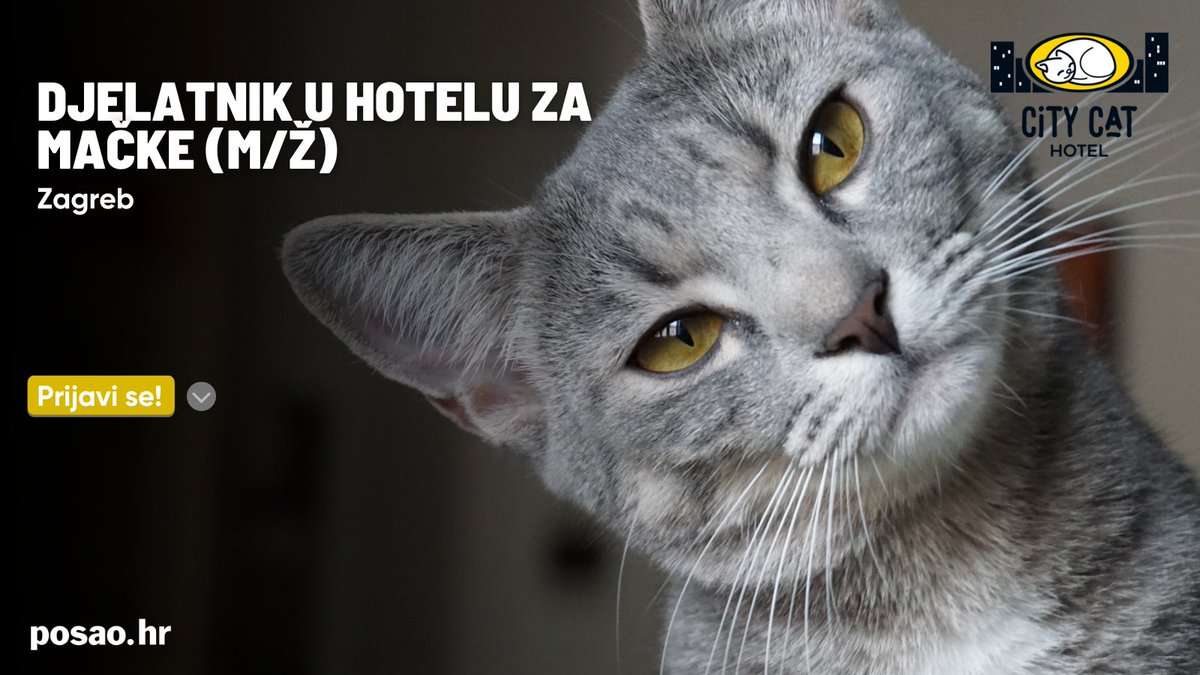 City Cat Hotel Zagreb zapošljava!  Očekuje te ugodna i vesela radna atmosfera te poticajan tim. Ako voliš mačke i želiš nova iskustva, prijavi se do 04.11.2023. Sretno! 
posao.hr/oglasi/djelatn…
#posaohr #posao #croatia #hrvatska #croatia
