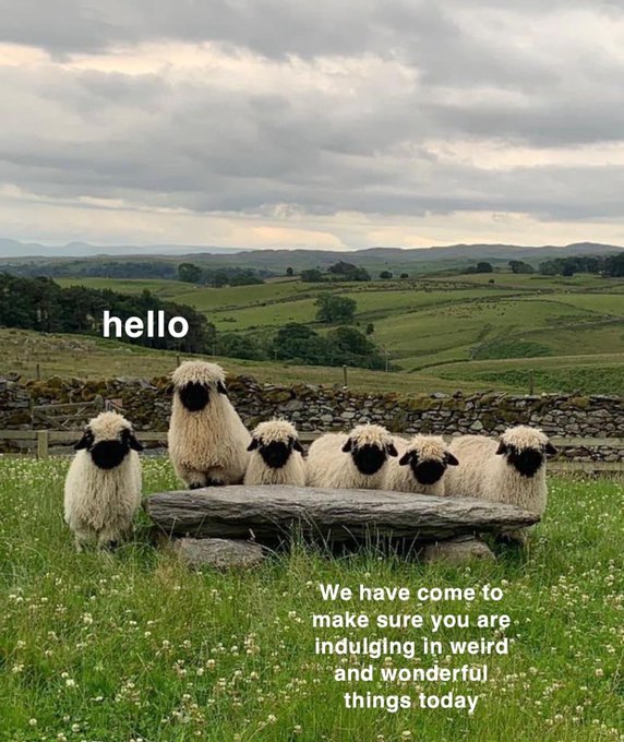 Watch huni 🍯's leaked NSFW photo on TwXstars