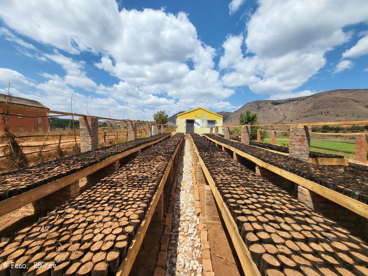 The new nursery of #Itremo_Massif_PA #Amoronimania_Region #Madagascar, it can produce 35 000 seedlings every years. Thanks to Buffini Chao foundation to support @TeamKMCC