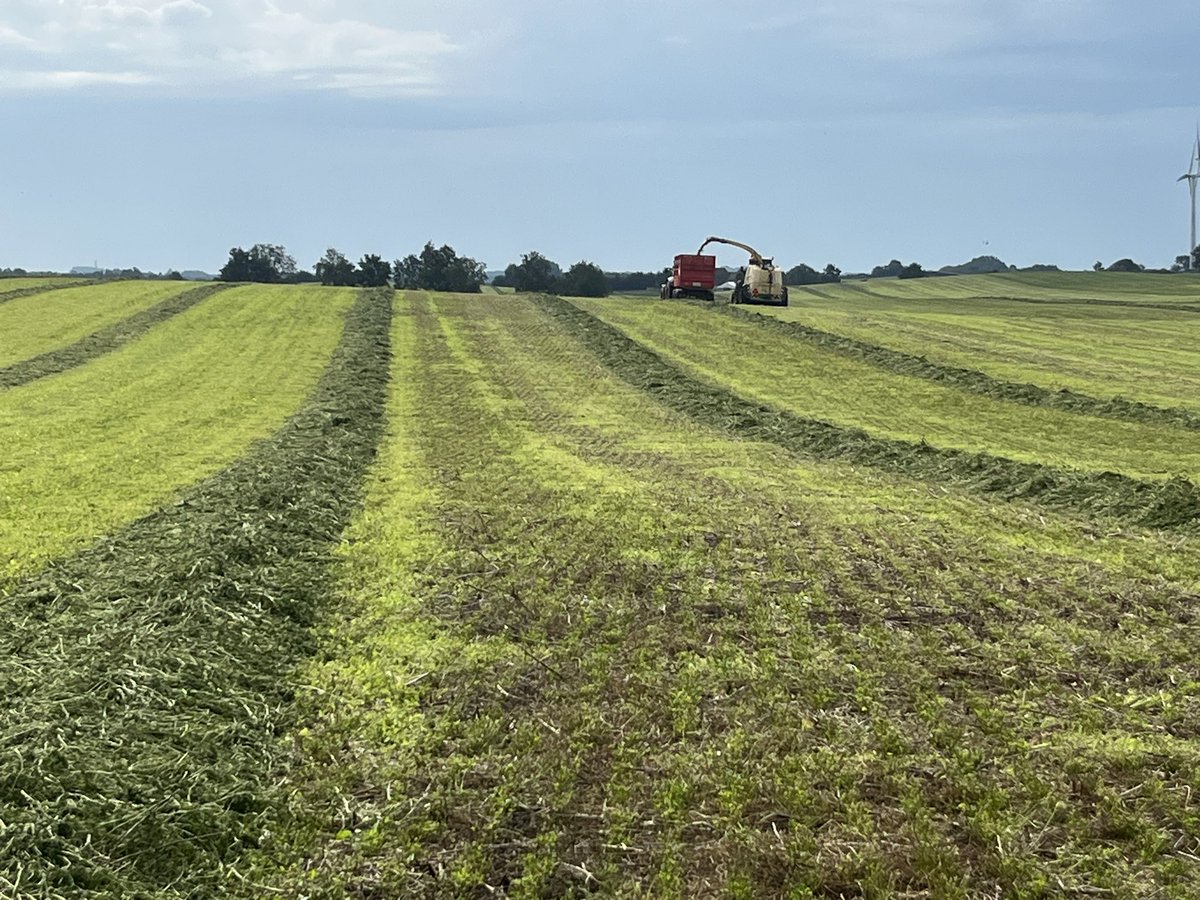 Frederik V. Larsen tweet media
