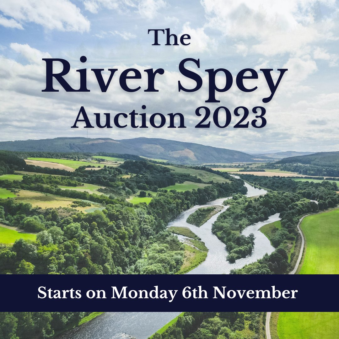 SpeyFishBoard's tweet photo. The official countdown to the 2nd #RiverSpeyAuction has begun!

Featuring 50 lots including 25 prime Spey fishing lots, the auction runs online from Nov 6-30. 

Stay tuned for your chance to support the Spey Foundation and help support it's essential work.

#SpeyAtlanticSalmon https://t.co/kqLRePXugK