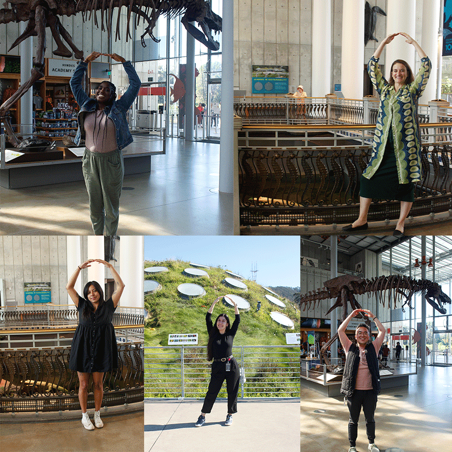 Rachael Van Schoik tweet media