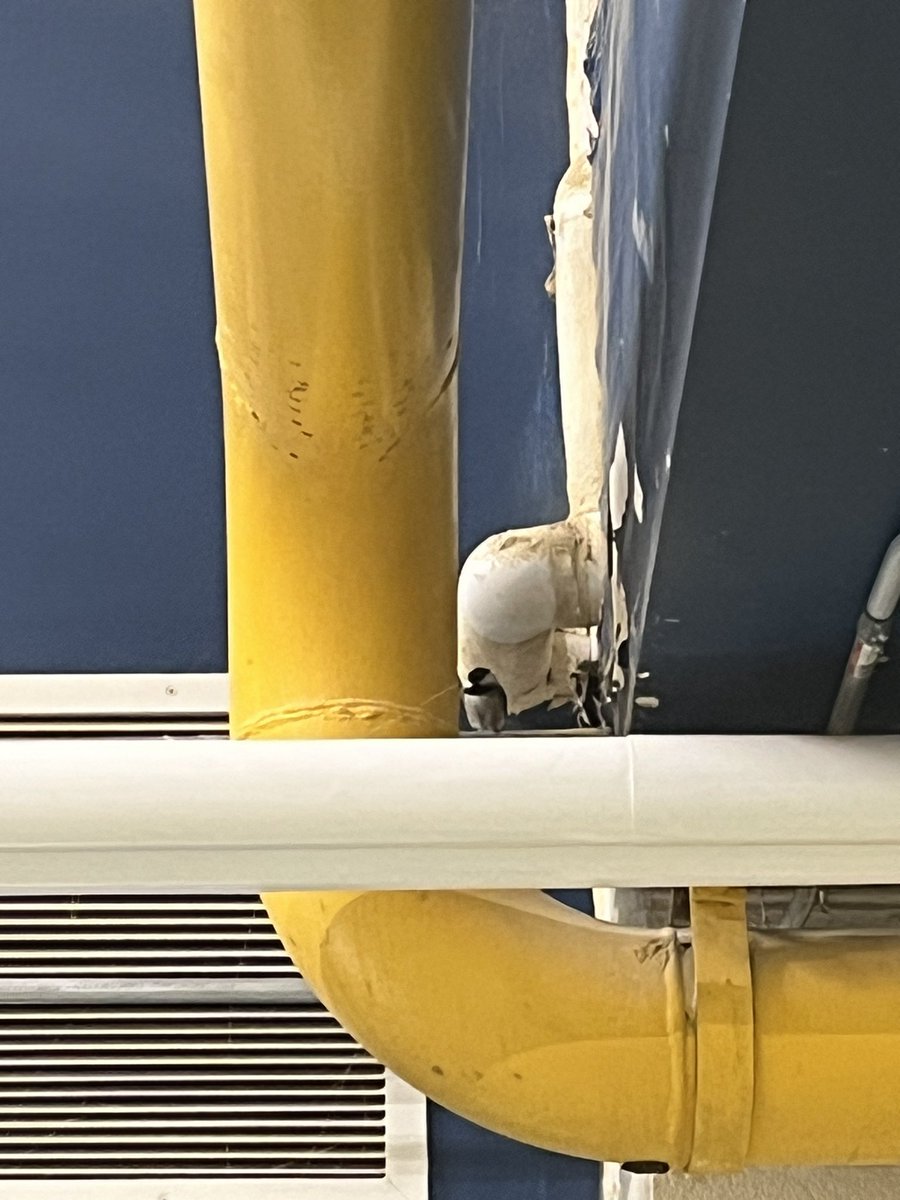 We had a guest "tweety" today! Another great day <a href="/StaynerC/">Stayner Collegiate</a> !!