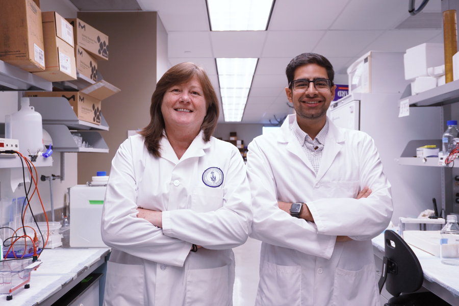 Department of Laboratory Medicine & Pathobiology (@uoft_lmp) on Twitter photo 🔬<a href="/marc__shenouda/">Marc Shenouda, PhD</a> and @JanuceRobertson, aim to bring hope to ALS patients. Their team at <a href="/tanzuoft/">Tanz Centre at University of Toronto</a> has discovered a groundbreaking molecule. With Connaught Award support, they hope to revolutionize ALS treatment.
lmp.utoronto.ca/news/breakthro… 🔬<a href="/marc__shenouda/">Marc Shenouda, PhD</a> and @JanuceRobertson, aim to bring hope to ALS patients. Their team at <a href="/tanzuoft/">Tanz Centre at University of Toronto</a> has discovered a groundbreaking molecule. With Connaught Award support, they hope to revolutionize ALS treatment.
lmp.utoronto.ca/news/breakthro…