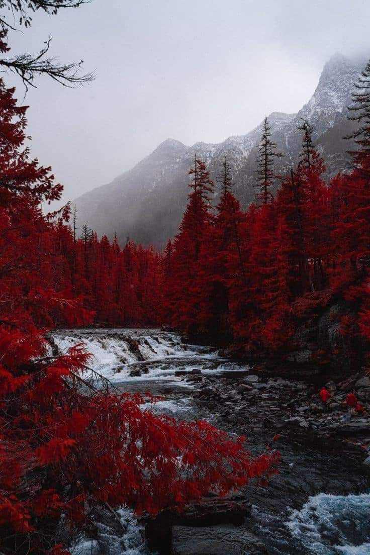 JackRockAutumn's tweet photo. When the soul knows peace. the heart can sleep🍁 https://t.co/dmCSEQCPfi