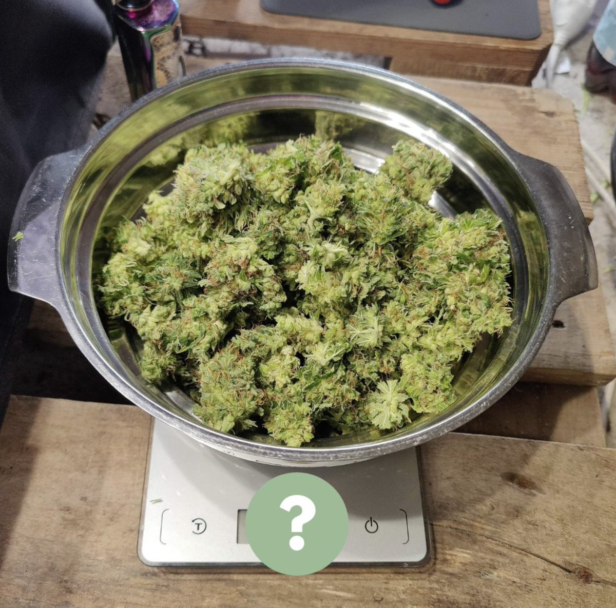 Cannabis Training University tweet media