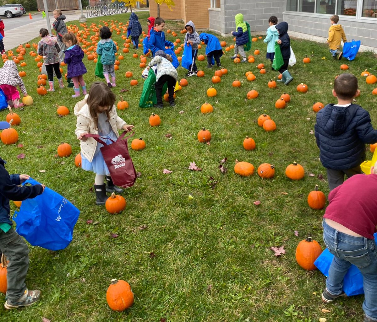 The Lake Simcoe Pumpkin Patch🎃 organized by our School Council. Students were able to choose their own pumpkin to take home.