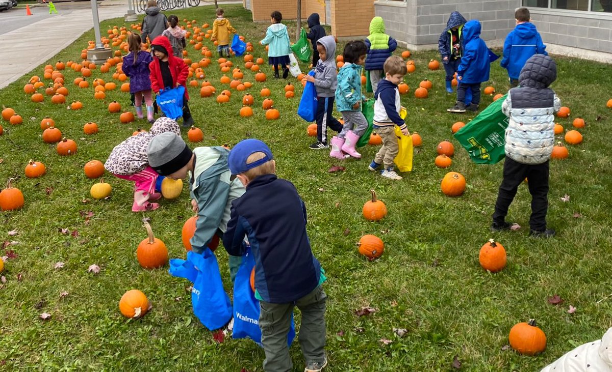 Lake Simcoe PS tweet media