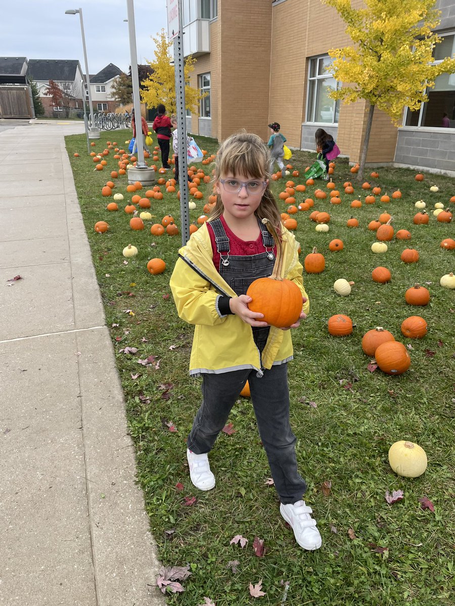 Lake Simcoe PS tweet media