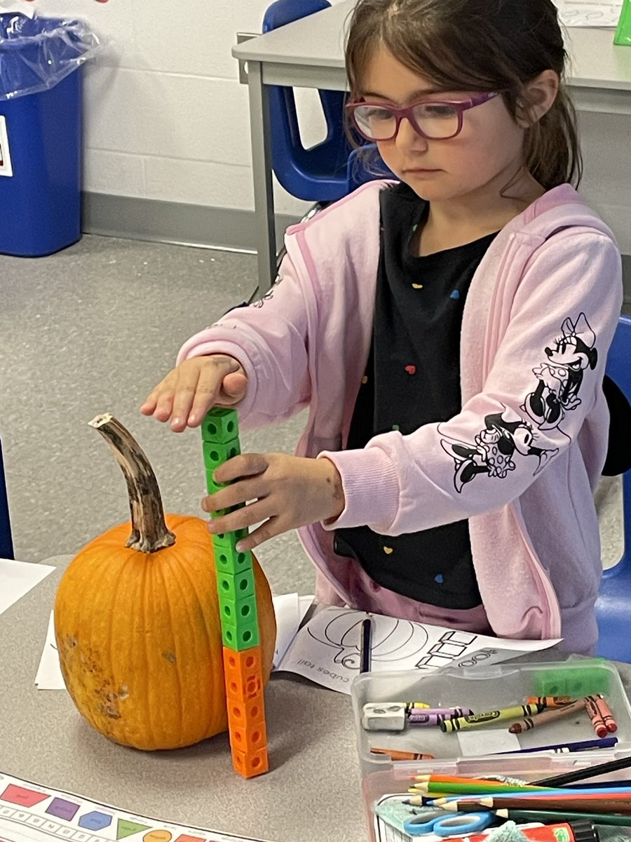 Lake Simcoe PS tweet media