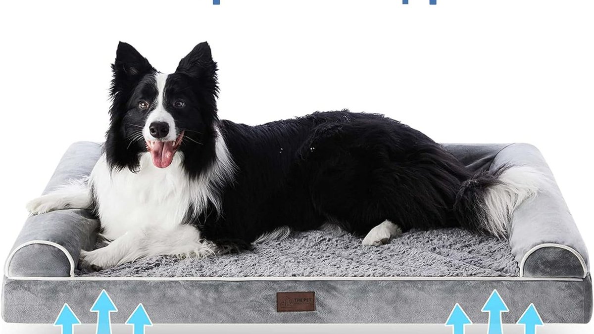 "The secret to better sleep for your furry friend"
Discover unparalleled comfort for your furry friend with Figopage Orthopedic Dog Beds
just now
#PROPC #Maine #PitDark #InMy1989TaylorsVersionEra #Brent #NationalPumpkinDay #ArknightsEndfield  #Chocking 
amzn.to/47ajQPb