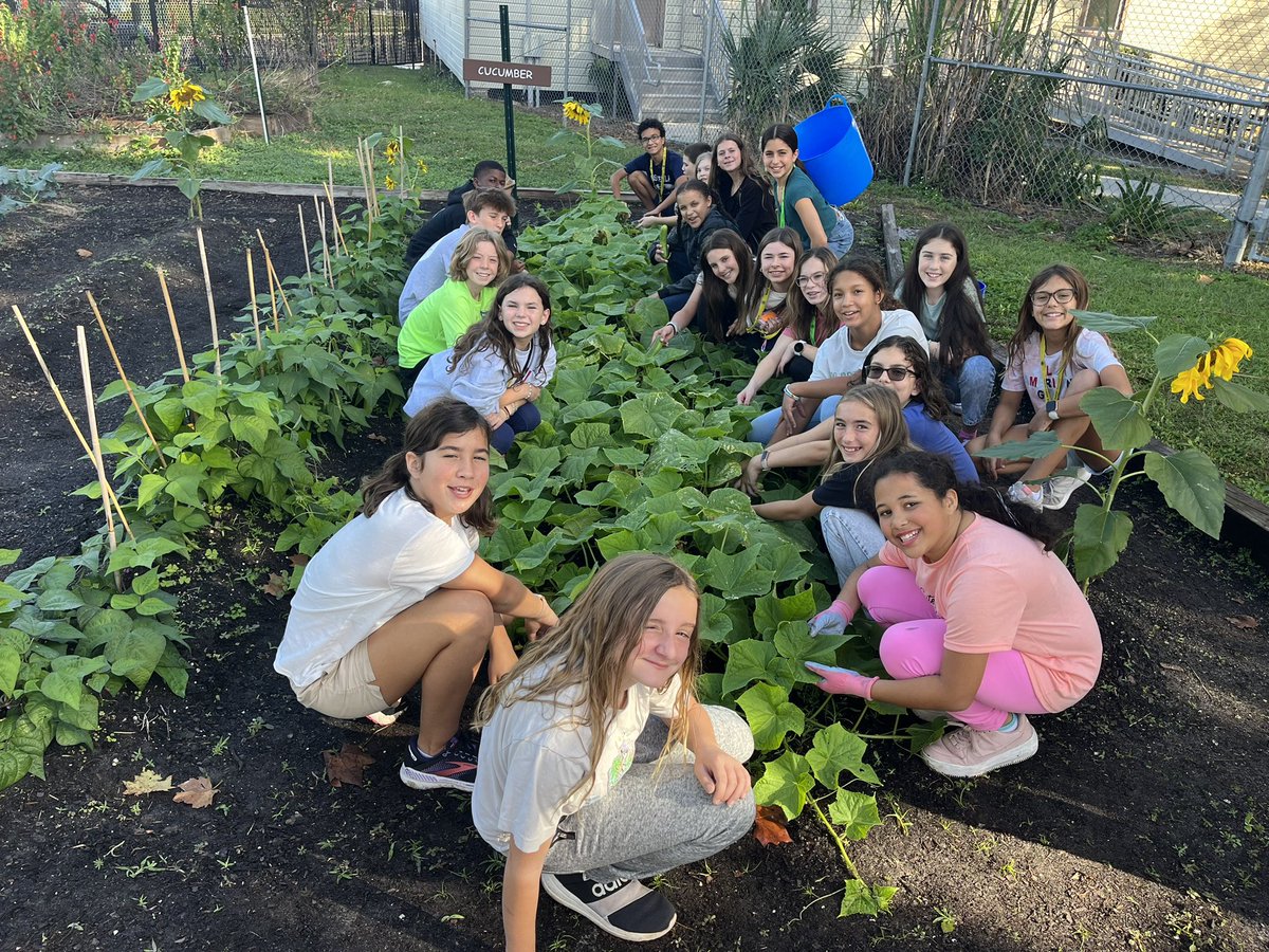 Christopher Roy tweet media