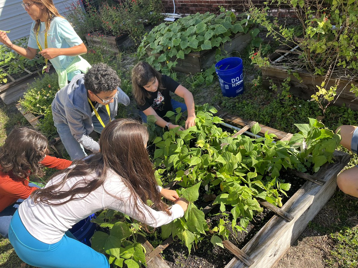 Christopher Roy tweet media