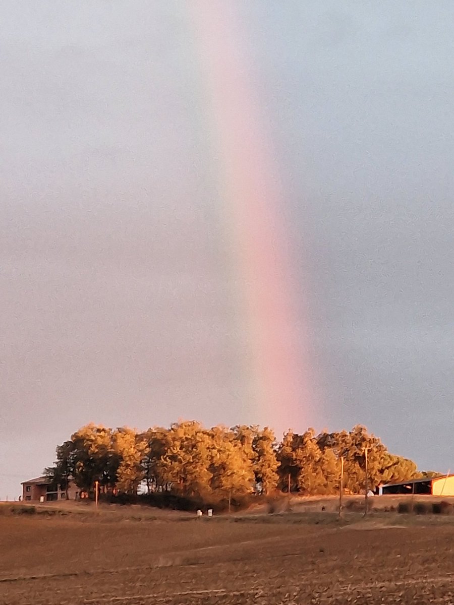 🌈Une légende raconte qu'il y a un trésor au pied de l'arc-en-ciel
Elle dit vrai !
🐝 Nos petites abeilles sont dans le bosquet 🌳 éclairées des 7 couleurs de 🏳️‍🌈
Une couleur par métier
🟣Nettoyeuse 
🔵Nourrice
🧊Maçonné
🟢Manutentionnaire 
🟡Ventileuse 
🟠Gardienne
🔴Butineuse