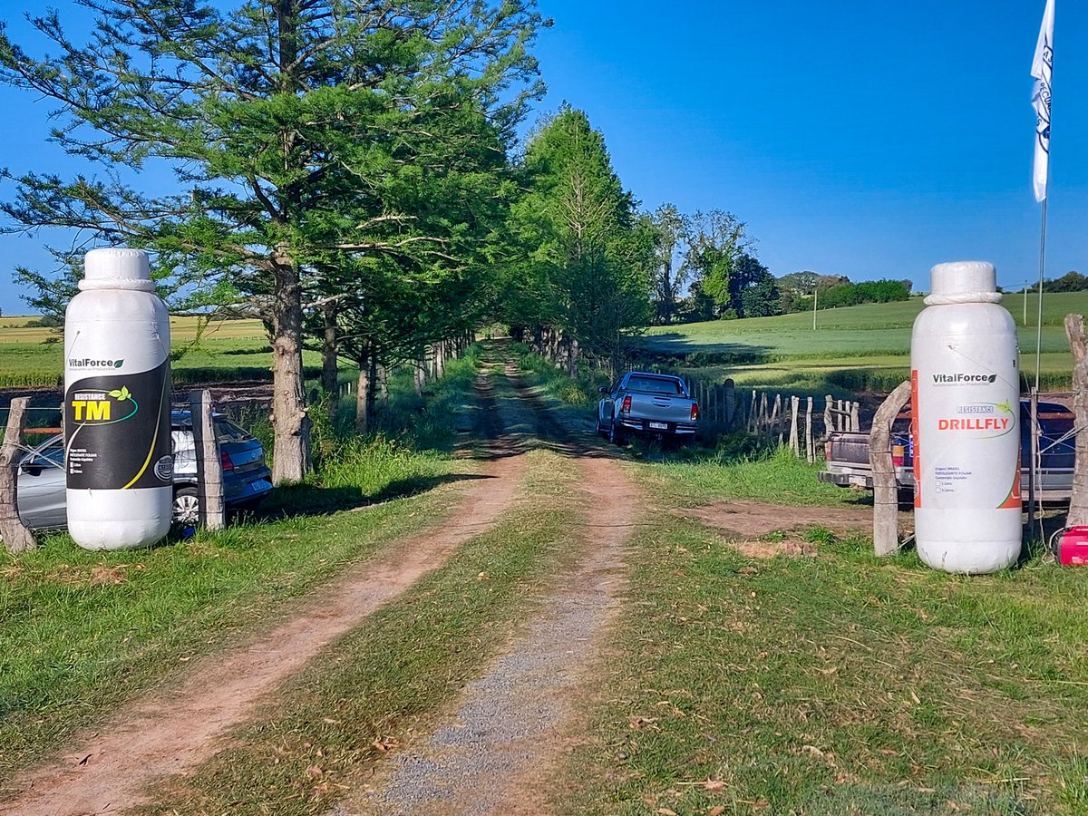 Fotos de la Jornada de Campo-Cultivos de Invierno
🌾🌾 Organizada por la  <a href="/aad_dolores/">Asociación Agropecuaria de Dolores</a> 

Compartimos esta mañana entre la visita al campo demostrativo y las charlas sobre manejos de cultivos y los resultados de la respuesta al encalado en cultivos para grano.