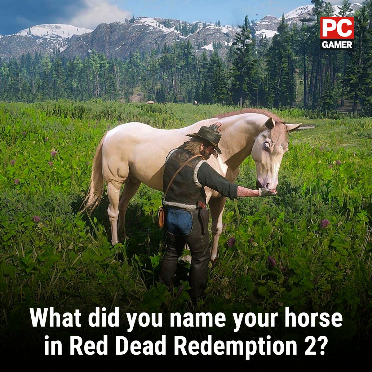 PC Gamer tweet media