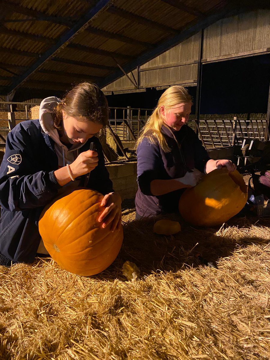 Harmston Young Farmers Club tweet media