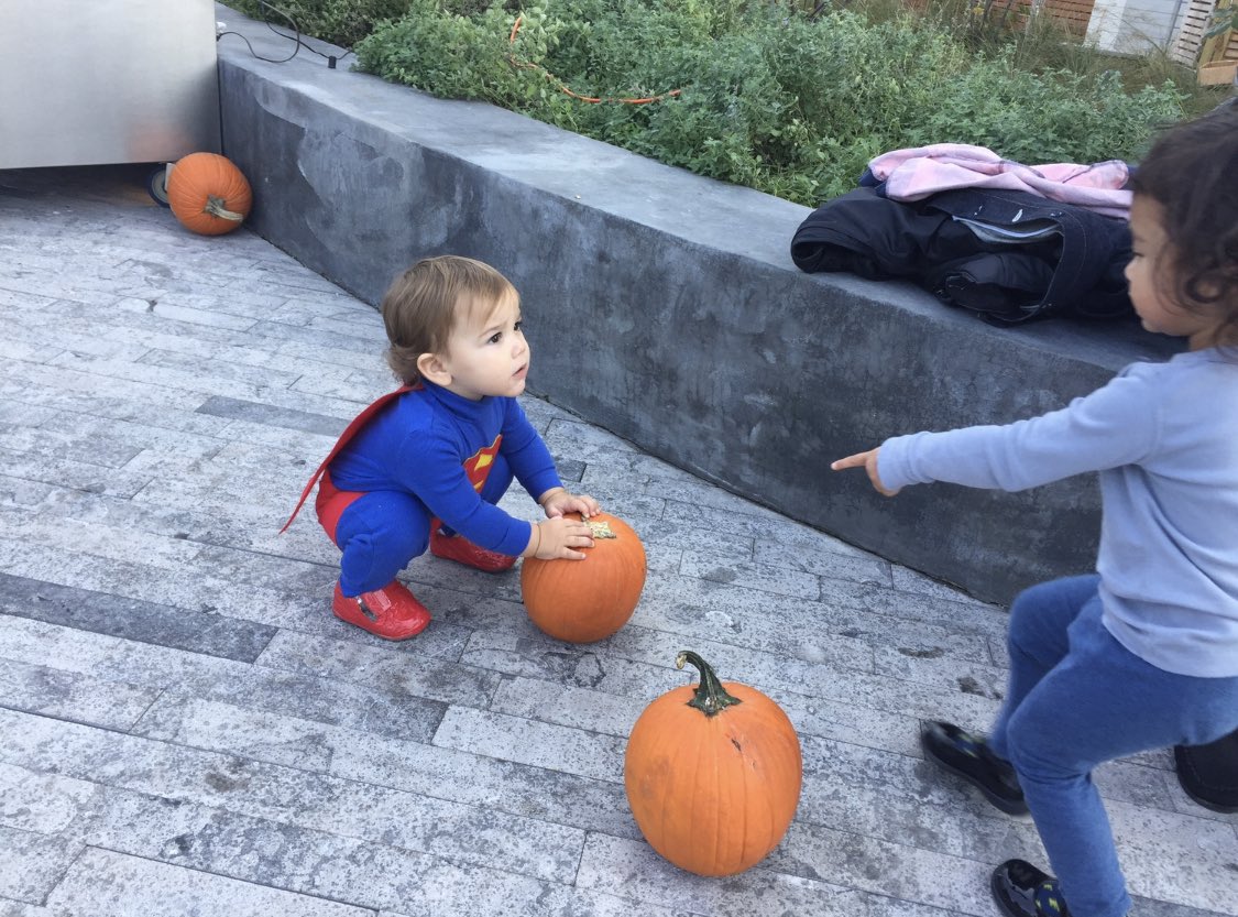 Seven years ago my then one year old chose this pumpkin and this little girl told him “YOU DON’T WANT THAT PUMPKIN—IT HASN’T GOT A STEM!!” and with that, in my mind, a book was born. “STUMPKIN” is now five years old. #stumpkin
