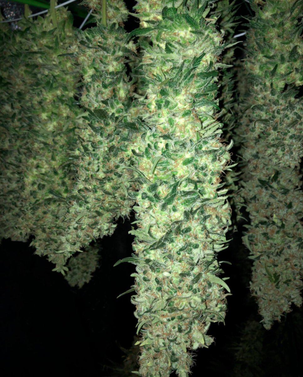 How long would this last you?