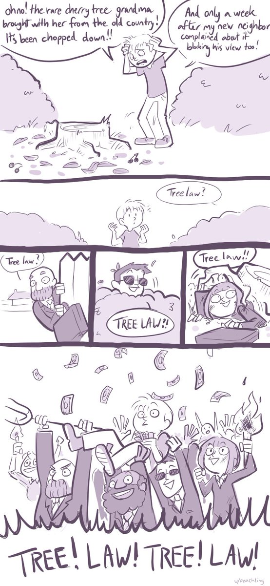 Dr. Zoe Dinges tweet media