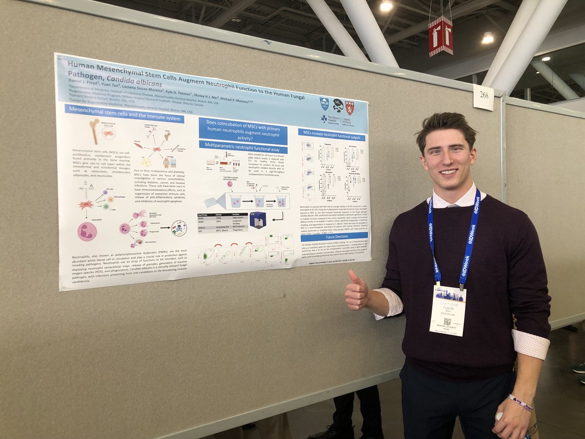 The Mansour Lab tweet media