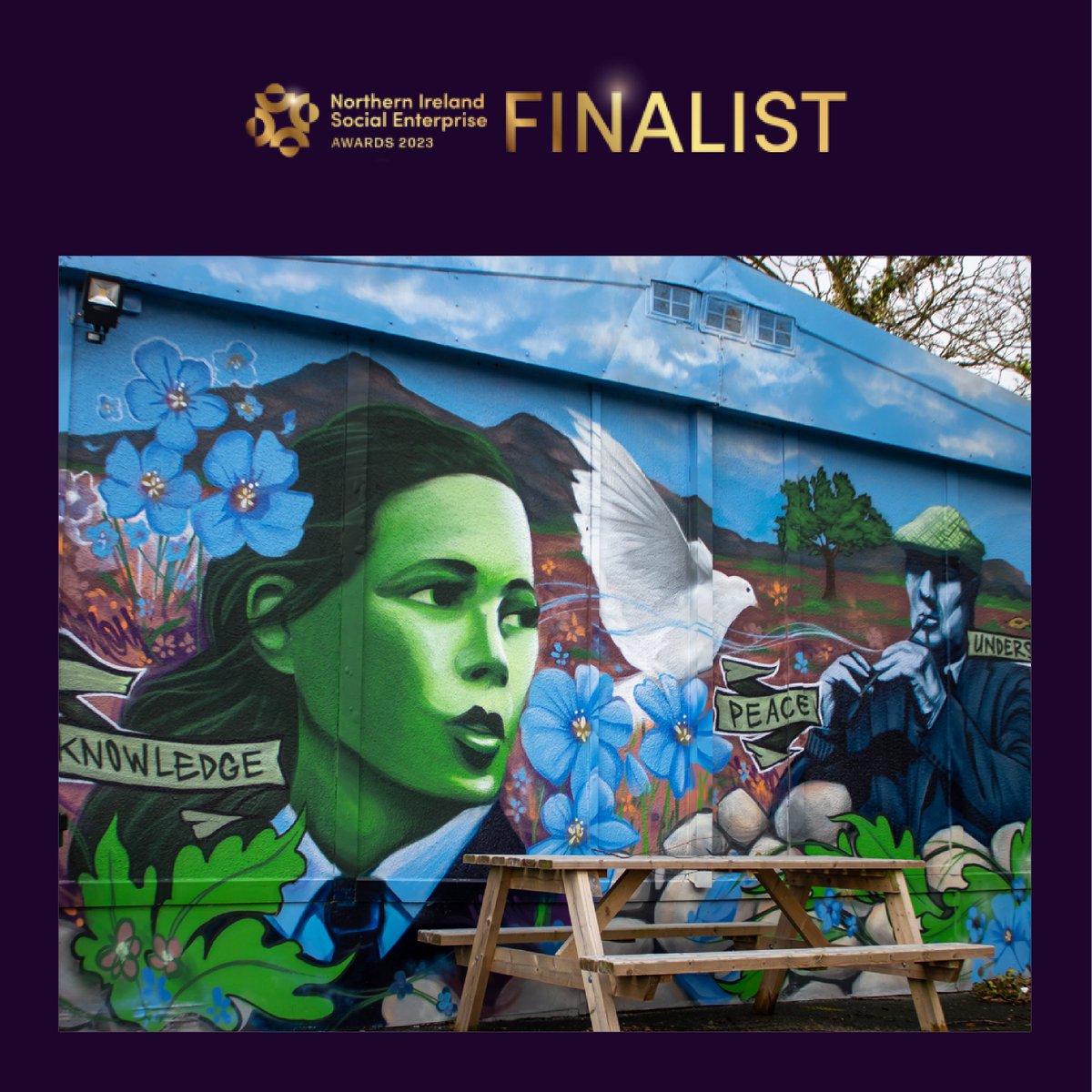 Moneydarragh Hub tweet media