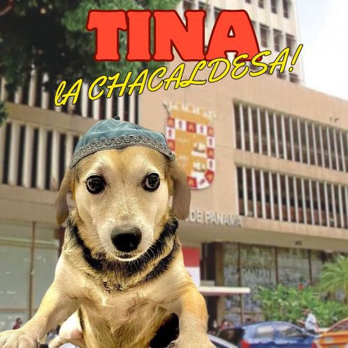 Tinaquera tweet media