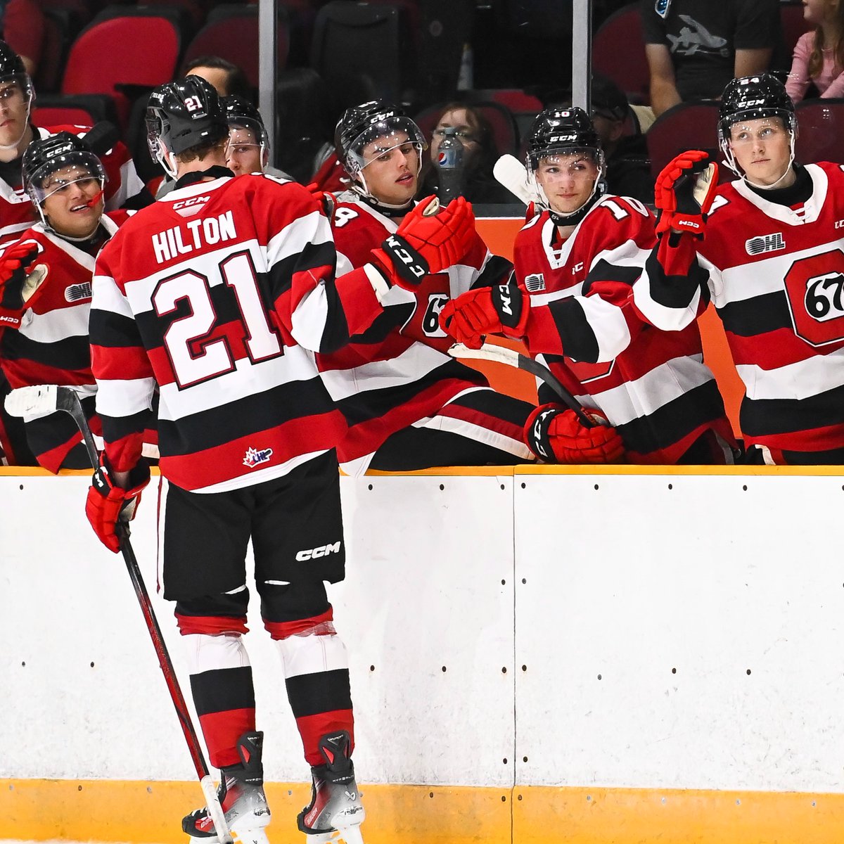Ottawa 67’s tweet media