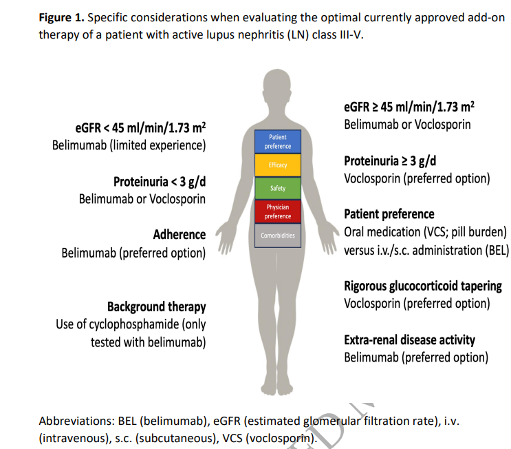 NDTsocial's tweet photo. EULAR 2023 recommendations for SLE treatment: synopsis for the management of lupus nephritis – 
the ERA - Immunonephrology Working Group perspective

🆓https://t.co/6cNY9BJqxG https://t.co/eBuB7KZsjM