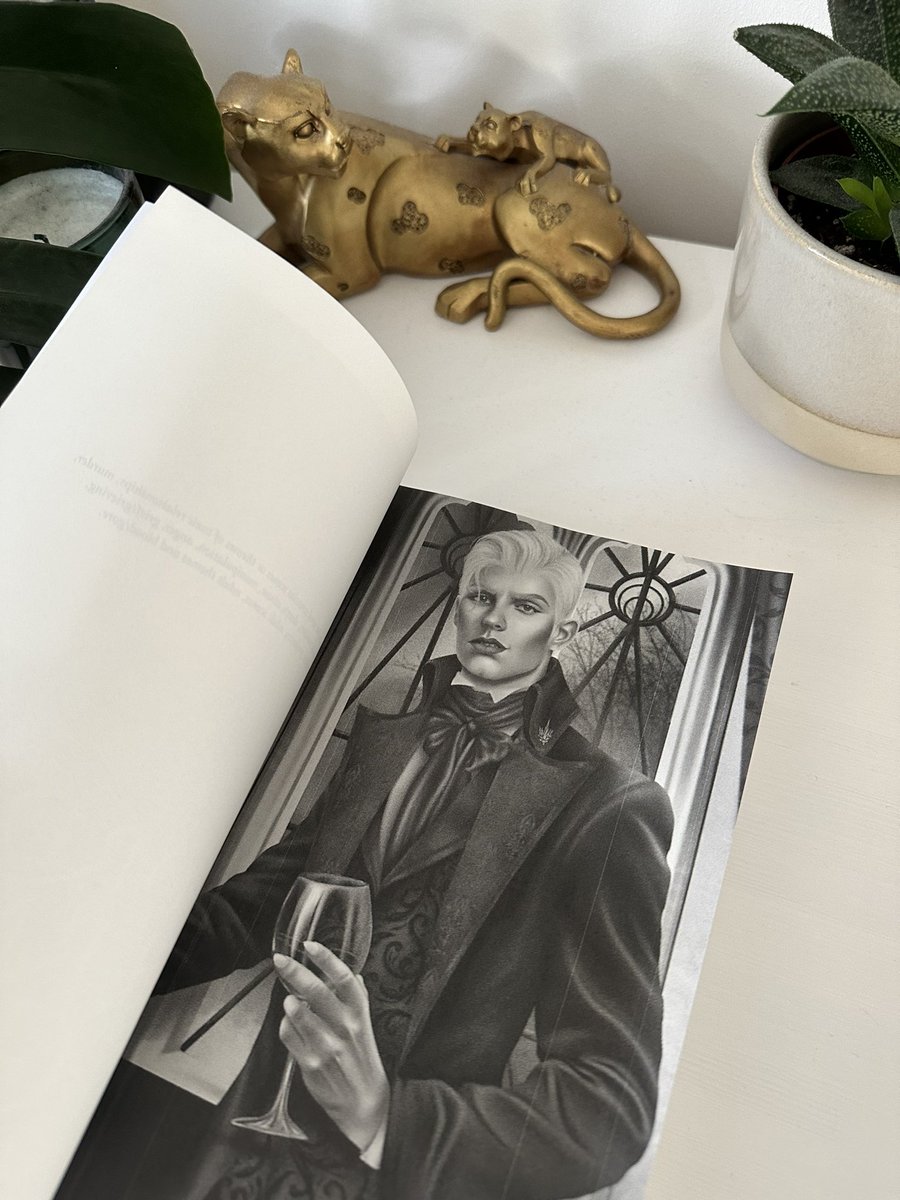 ✨SURPRISE✨

Thank you to <a href="/CheshireCath94/">CheshireCath (Commissions CLOSED)</a> who worked on the DARKMOURN Universe Discreet Bind-Up edition! 🥹 now you can read my books in public and not have people know your reading gay fantasy smut tehe 

mybook.to/DARKMOURNdiscr…