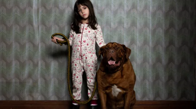 AWFJ's tweet image. From Spain’s @SitgesFestival, @suspirialex reviews Argentine Demián Rugna’s #WhenEvilLurks, a “veritable masterclass in horror filmmaking” that takes on toxic masculinity and should place Rugna among genre masters. awfj.org/blog/2023/10/2…