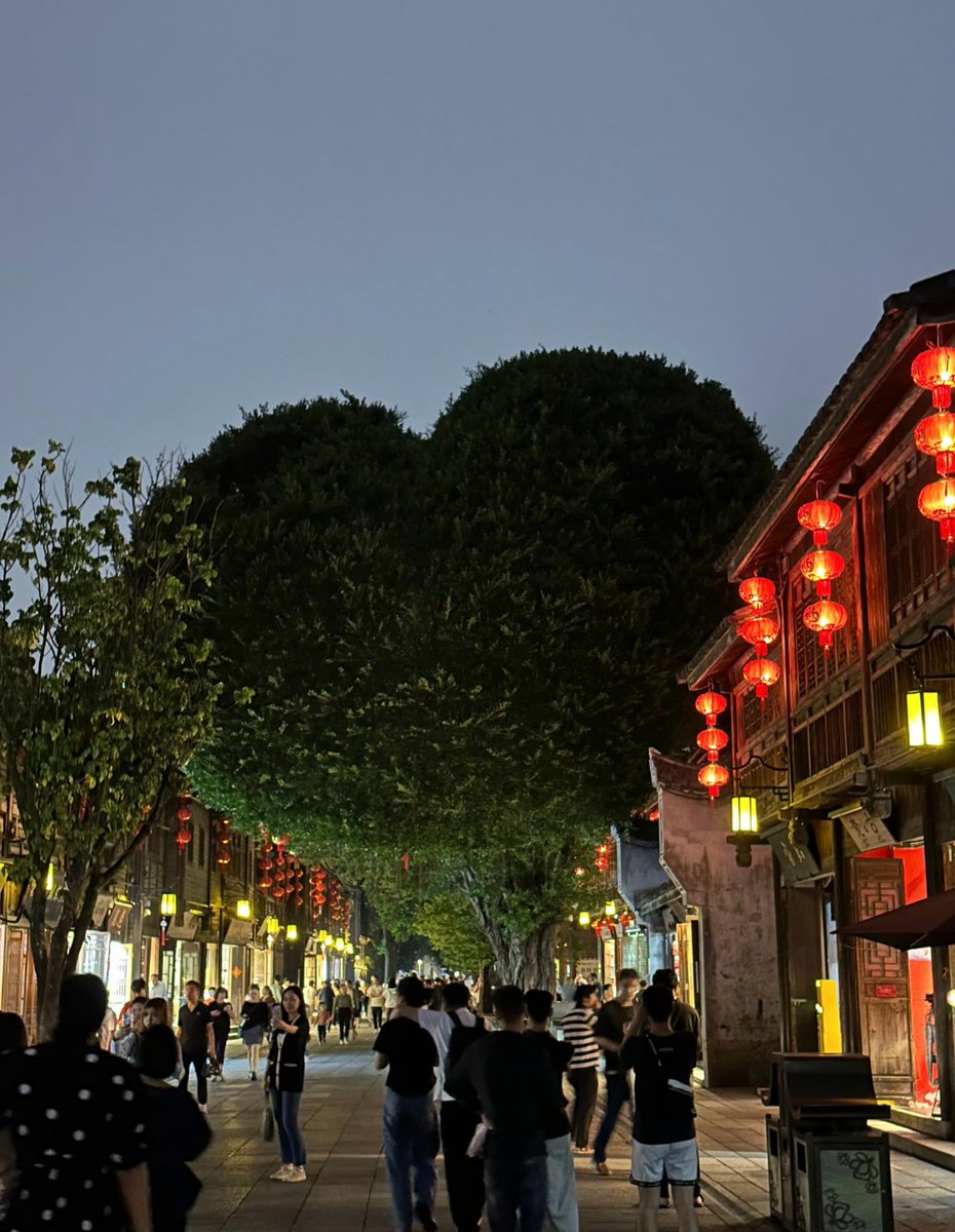 福州三坊七巷安心树🎄🤩