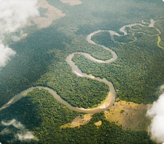 [1/3]
[Summit of the three Basins in Brazzaville🌳🐵🌍]

Today and until October 28, leaders from regions covering more than 80% of the world's tropical forests and 2/3 of the world's terrestrial biodiversity are meeting in Brazzaville.
