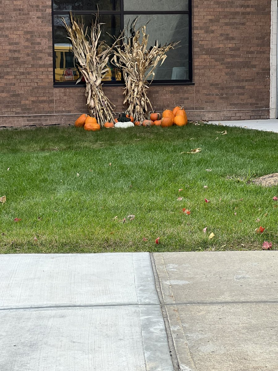 Dr. Misty Swanger tweet media