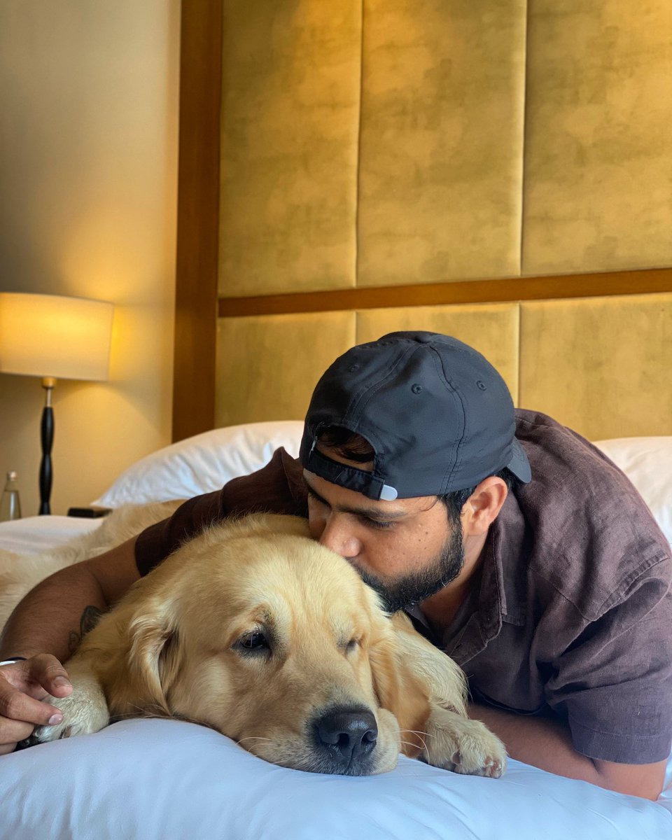 oscarspawpaw's tweet photo. ❤️ https://t.co/xe76MN5PTk