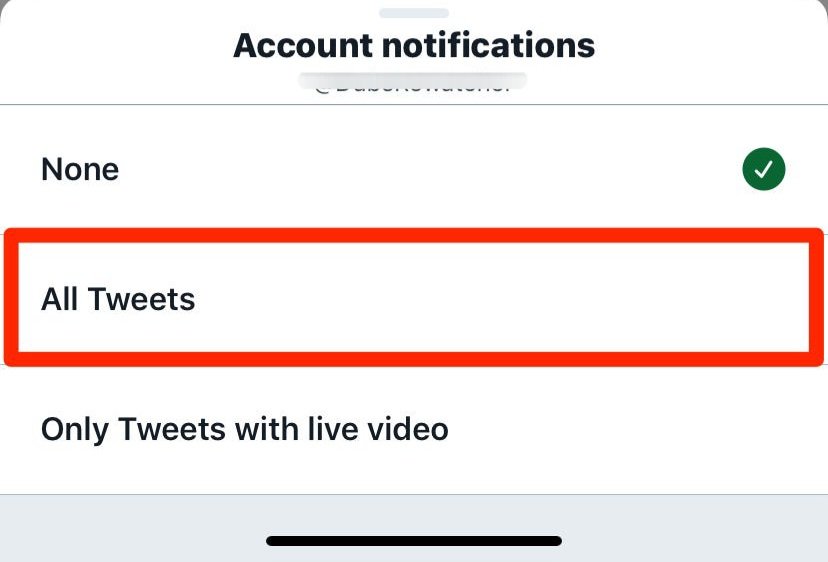 I'm losing visibility 🥺

Please activate a 🔔 on my twitter page.

It is very important 🙏