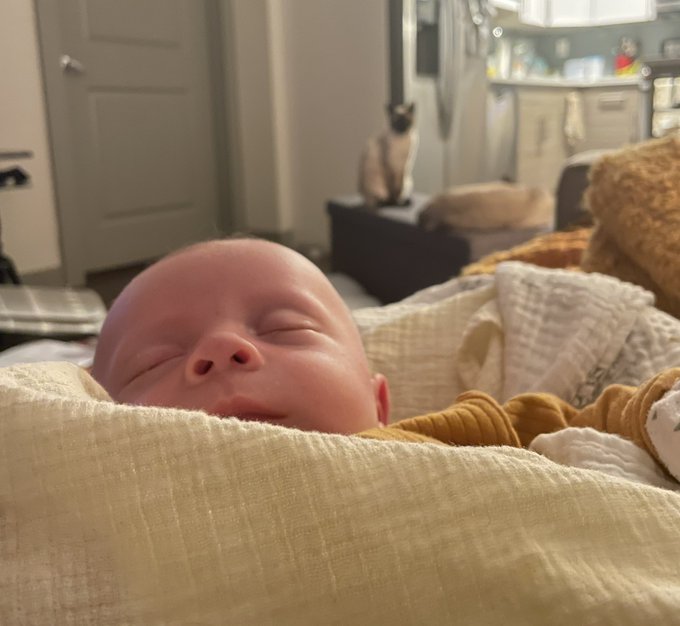 Our little buddy, one month old today! https://t.co/7CyL9qgTTb<a href="/tag/longlegs"class="tags"><span>#longlegs</span></a><a href="/tag/longlegsmovie"class="tags"><span>#longlegsmovie</span></a>