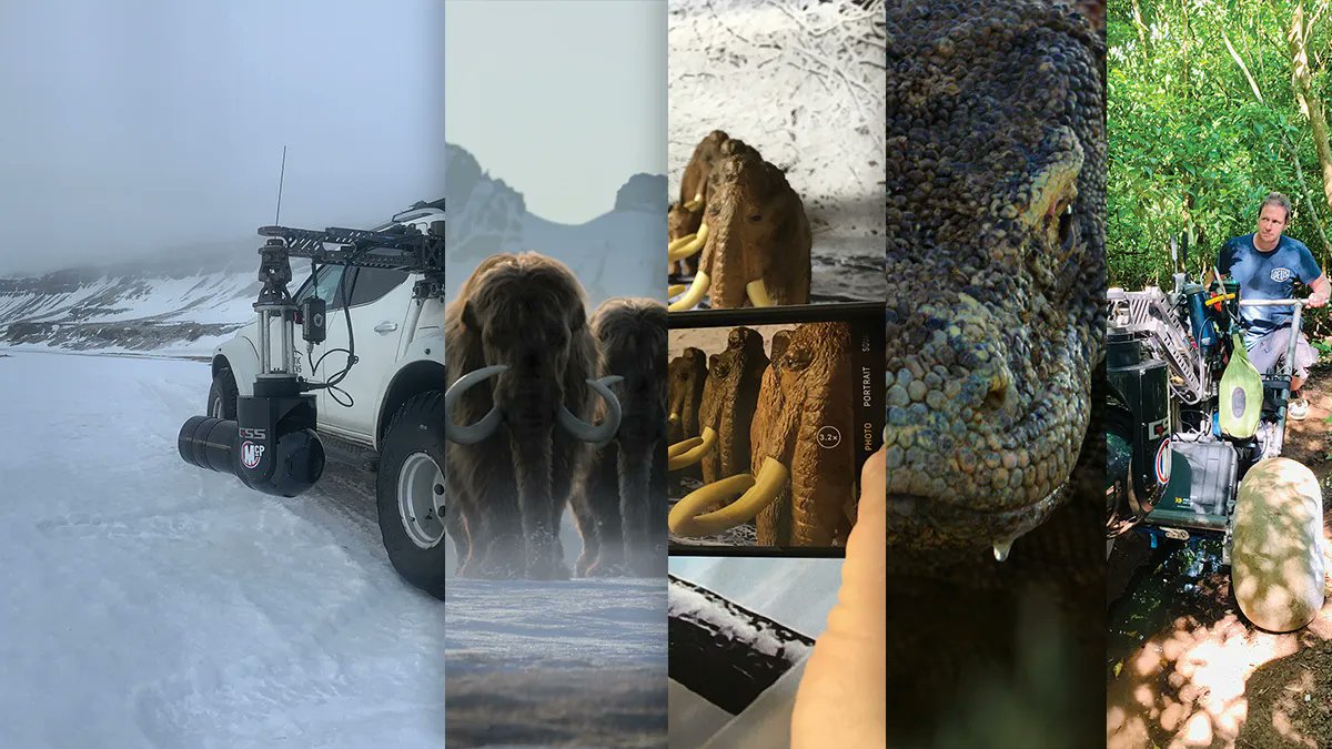 Life on Our Planet features a wealth of CGI magic, but it is supported by a background of ambitious and even groundbreaking real-life cinematography. 

"Of course, we could have had the backgrounds be CGI as well as the animals but by choosing to film real locations, the scenes